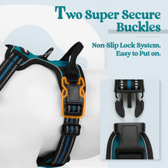 Rabbitgoo soft padded harness providing comfort during daily walks