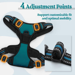 Soft-padded interior of Rabbitgoo harness keeps skin comfortable