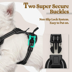 rabbitgoo soft padded oxford harness keeps small dogs comfortable