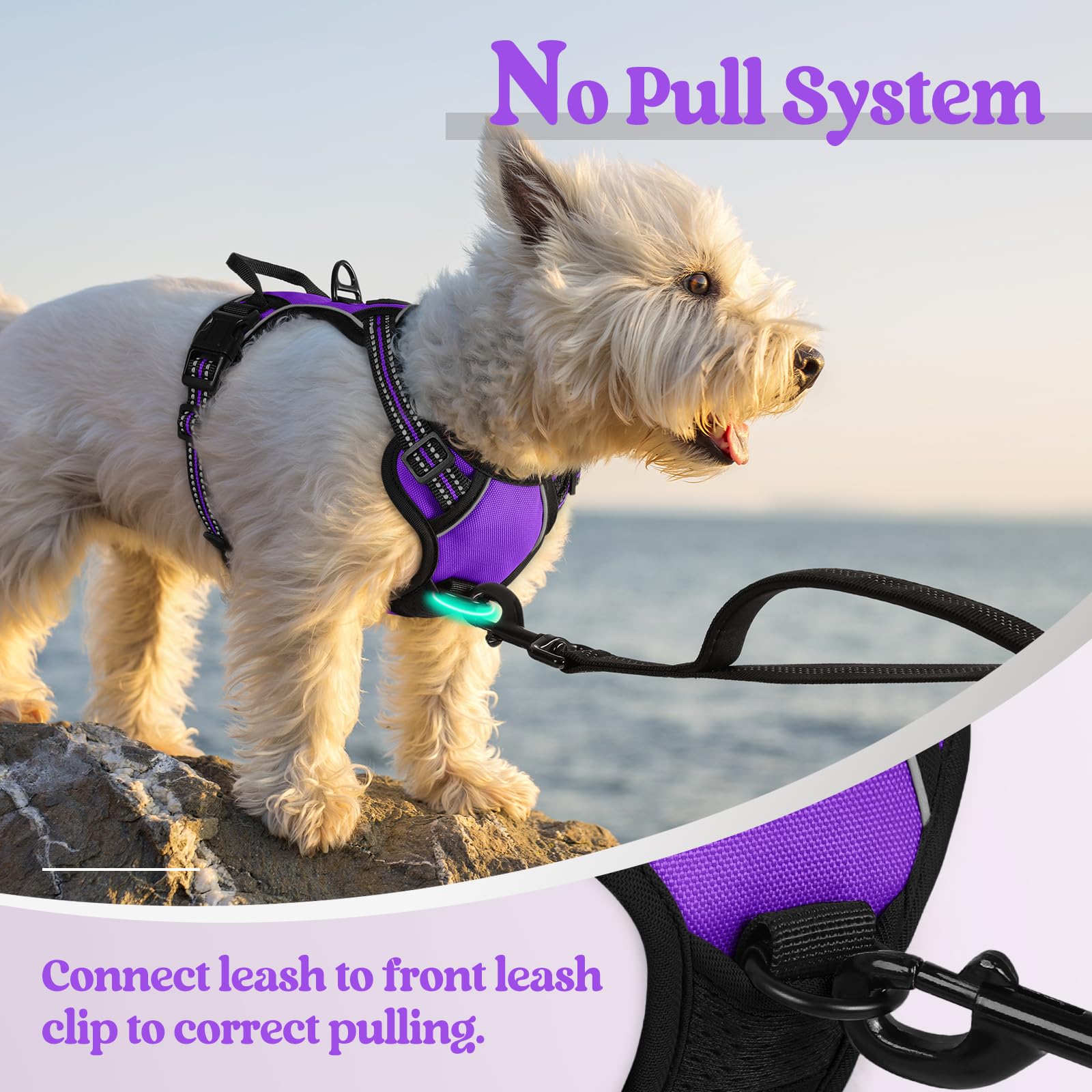 Rabbitgoo soft padded Oxford fabric protects your dog's skin during wear.