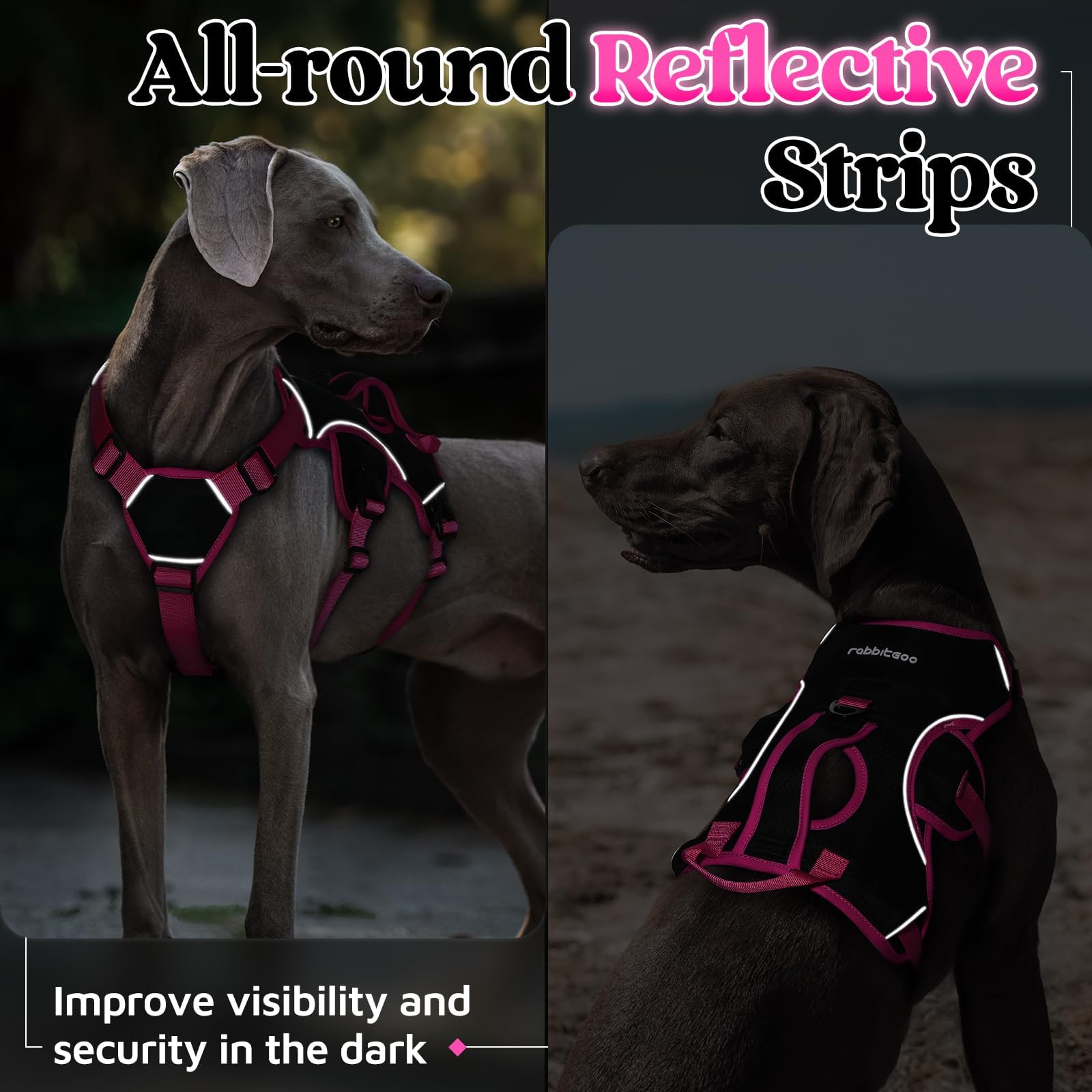 Rabbitgoo padded chest area minimizes friction during walks.