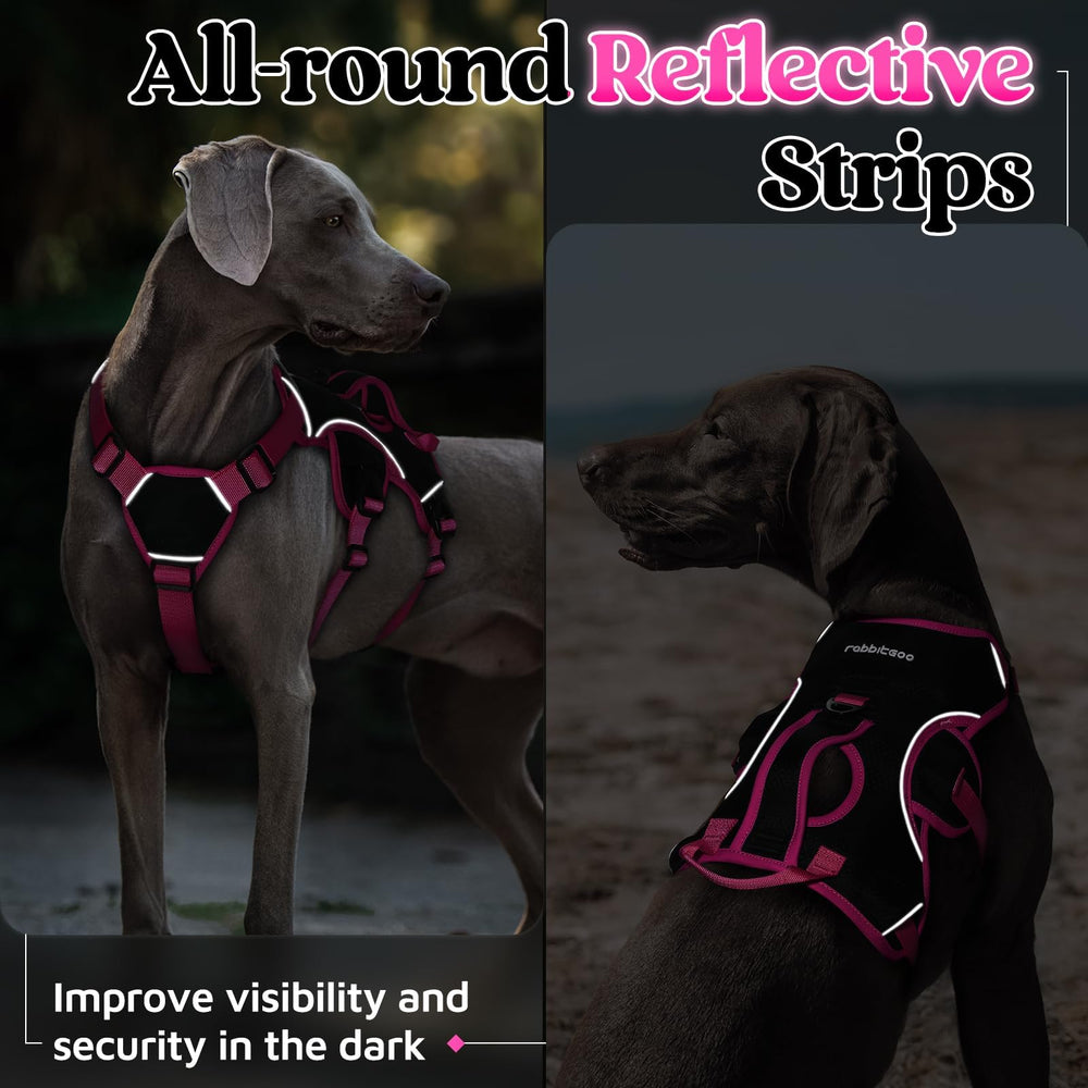 Rabbitgoo padded chest area minimizes friction during walks.