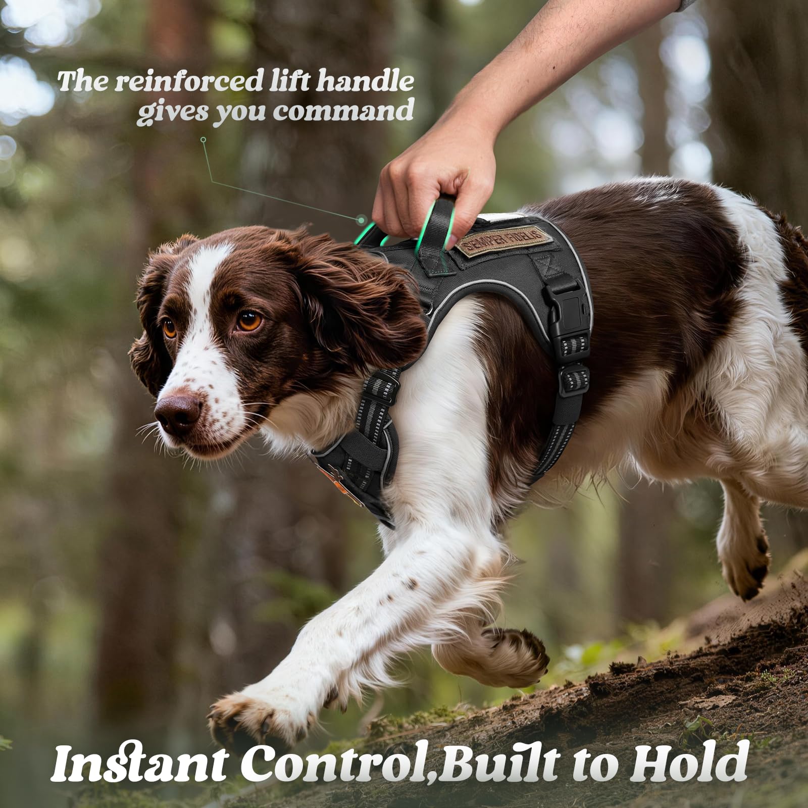 Rabbitgoo harness with soft padding for comfortable wear.