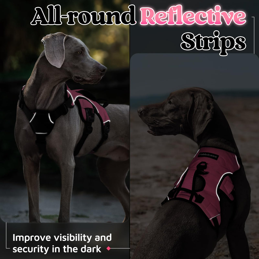 Rabbitgoo soft sponge padding reduces skin friction