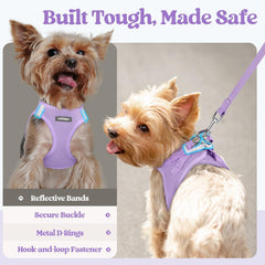 Rabbitgoo step-in harness adjustable strap for a snug, comfortable fit