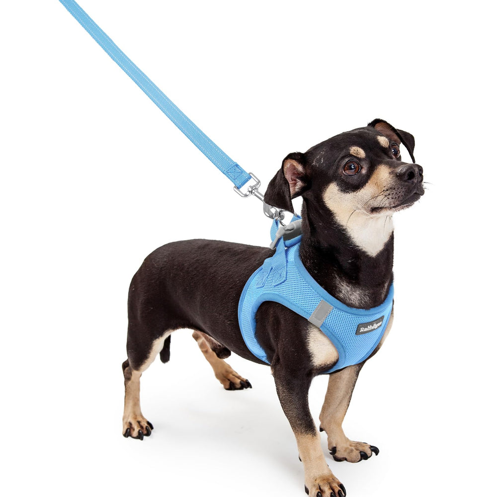 Rabbitgoo XXXS step-in harness blue for easy slip-on walks.