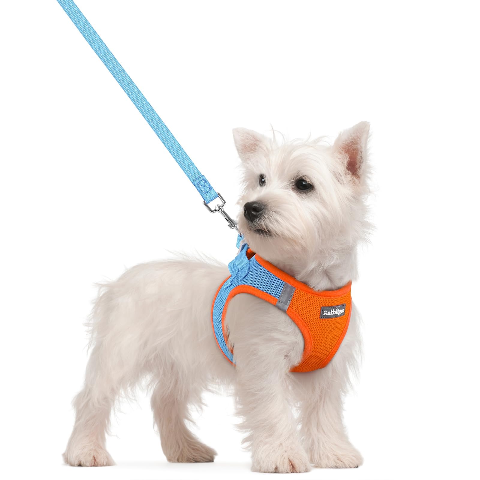 Rabbitgoo step-in harness in blue for quick, comfortable fit.