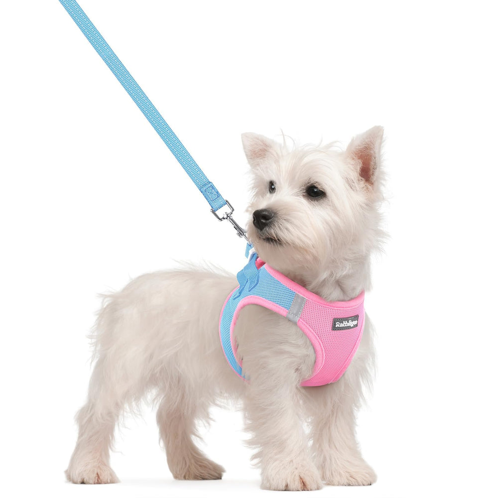 Rabbitgoo step-in harness in blue for quick secure on-off wearing