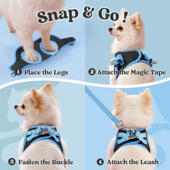 Rabbitgoo step-in harness buckle-closure closeup shows quick, secure fitting