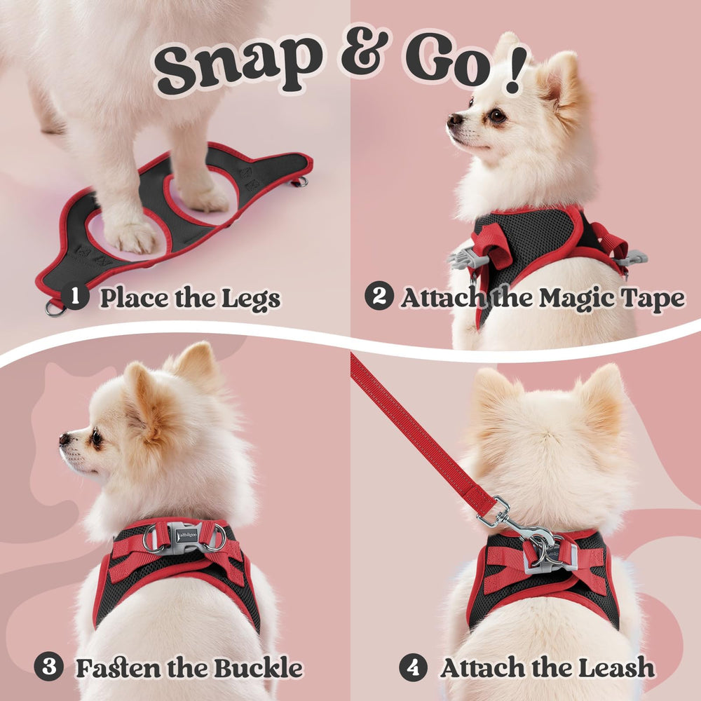 Rabbitgoo step-in harness with quick buckle for easy on-the-go fit.