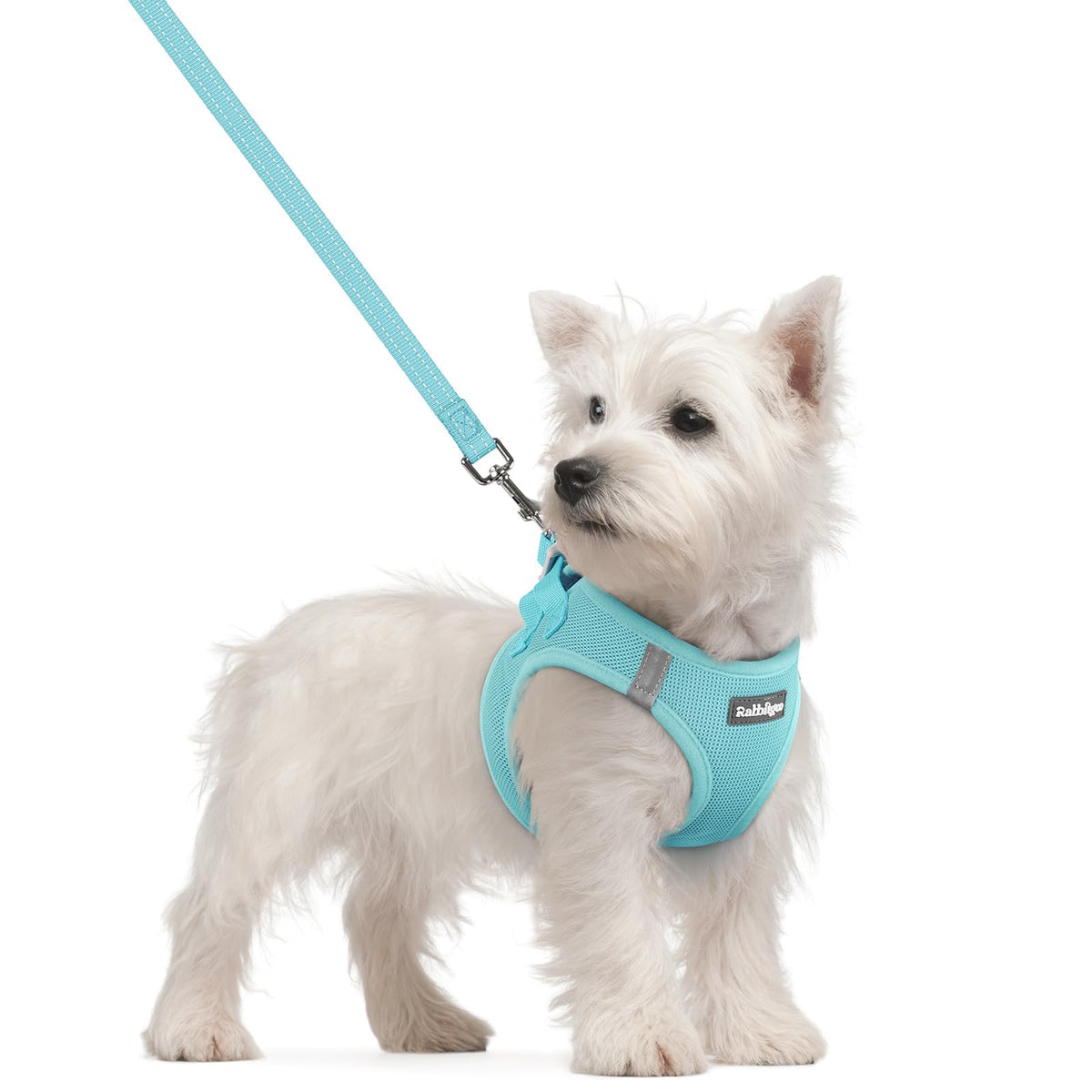 Rabbitgoo step-in harness in mint blue for quick, comfortable fits.