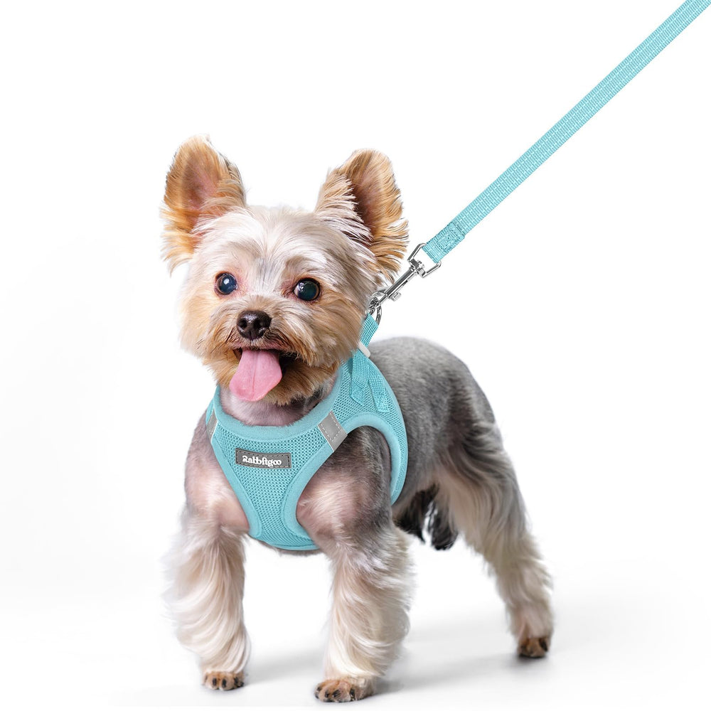 Rabbitgoo step-in harness in mint blue with breathable mesh for small dogs