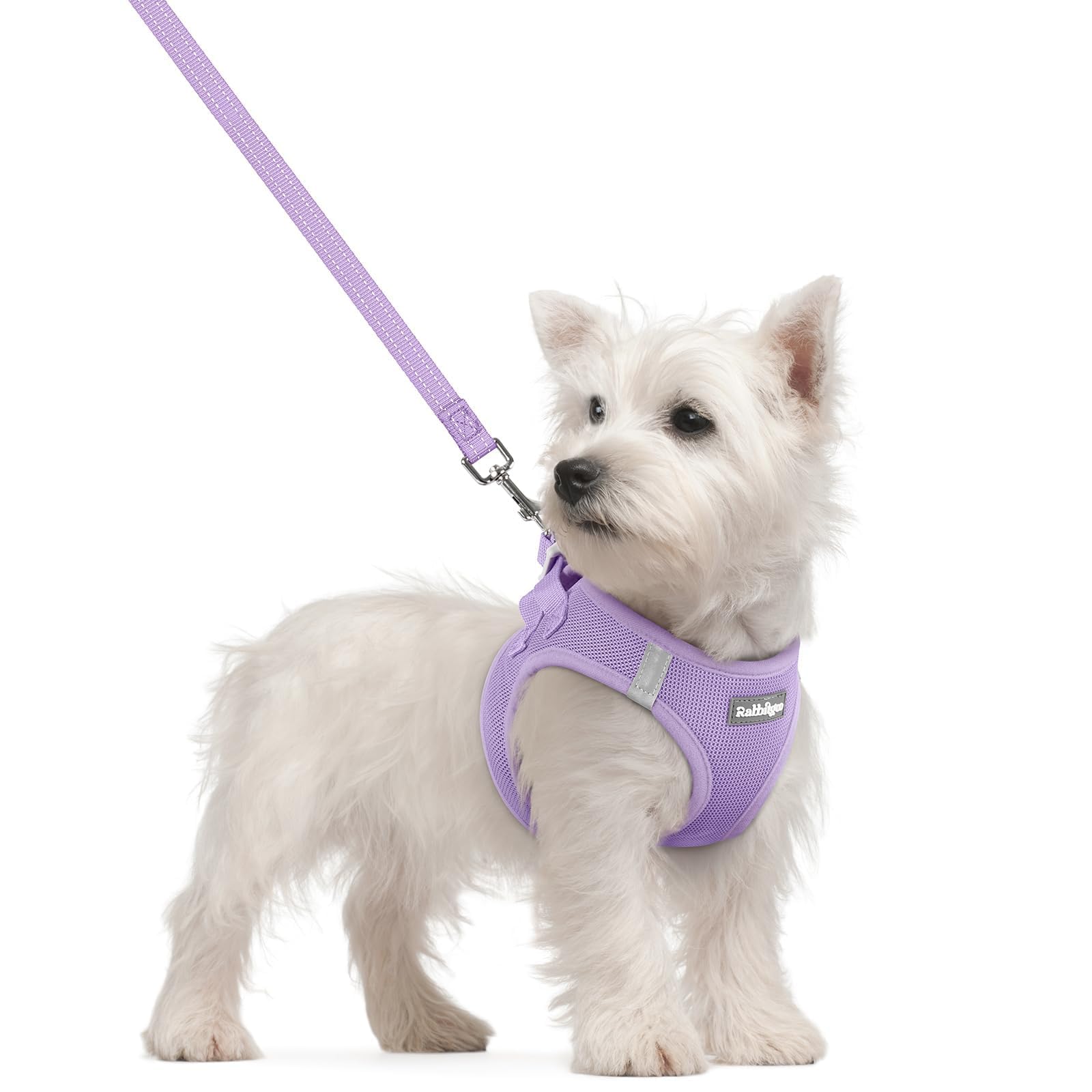 Rabbitgoo step-in harness for small dogs with breathable mesh for comfortable walks