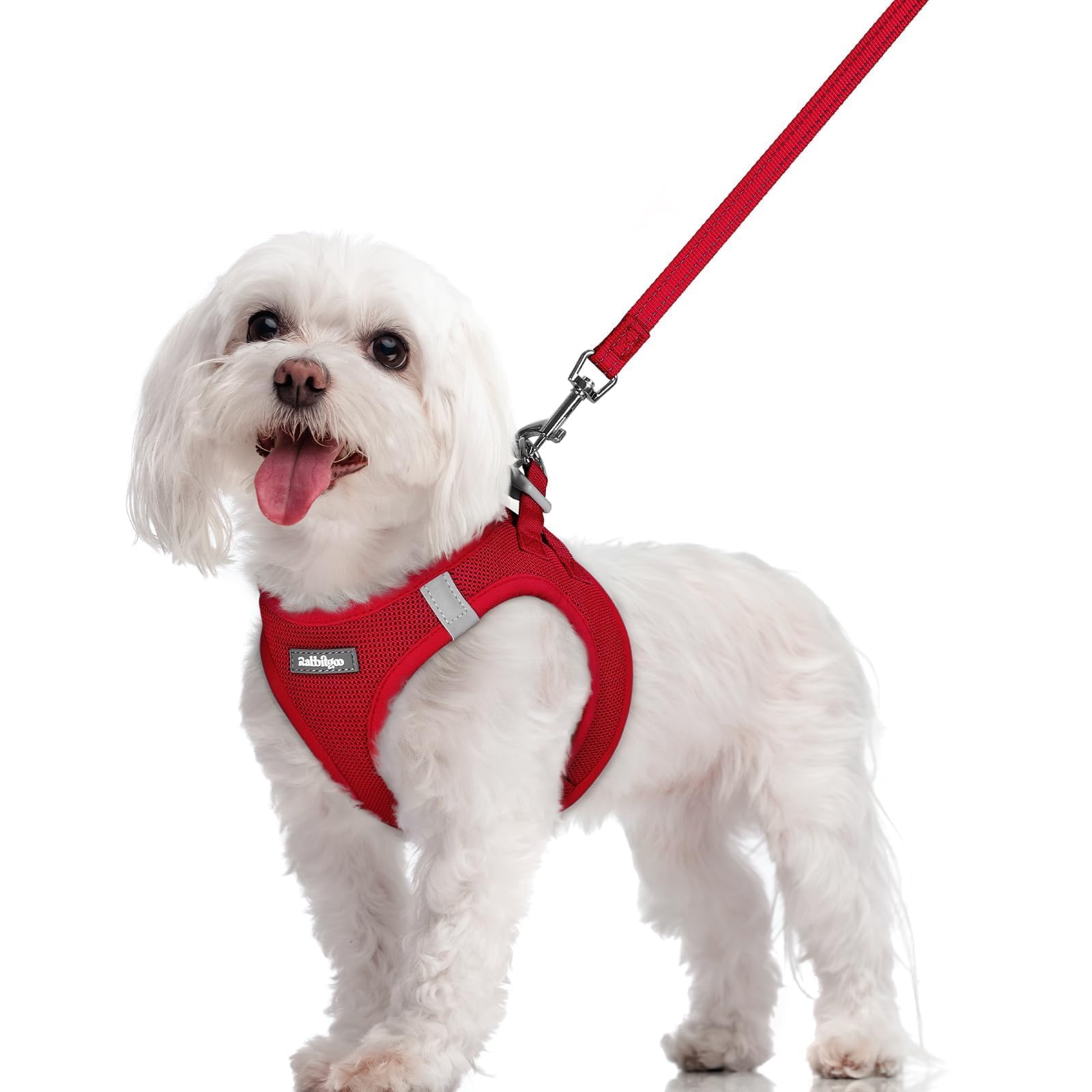 Rabbitgoo Step-In Harness Small Red for quick, comfortable on-walk fitting.