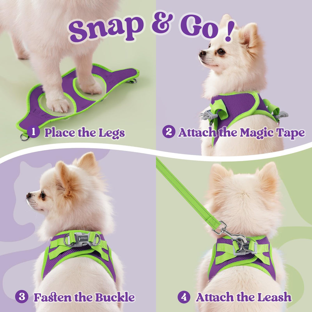 Rabbitgoo step-in harness with soft edges for easy on-off