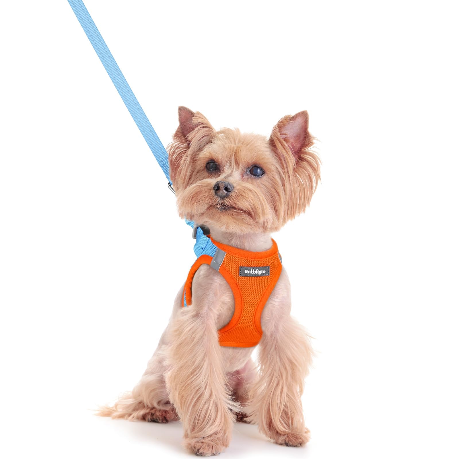 Rabbitgoo step-in harness XXS blue; easy on/off for daily walks.