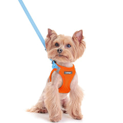 Rabbitgoo step-in harness XXS blue; easy on/off for daily walks.