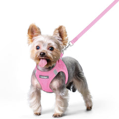 Rabbitgoo step-in pink XS dog harness enables quick on/off for small dogs.