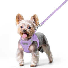 Rabbitgoo step-in puppy vest in light purple XS for quick, comfy wear.