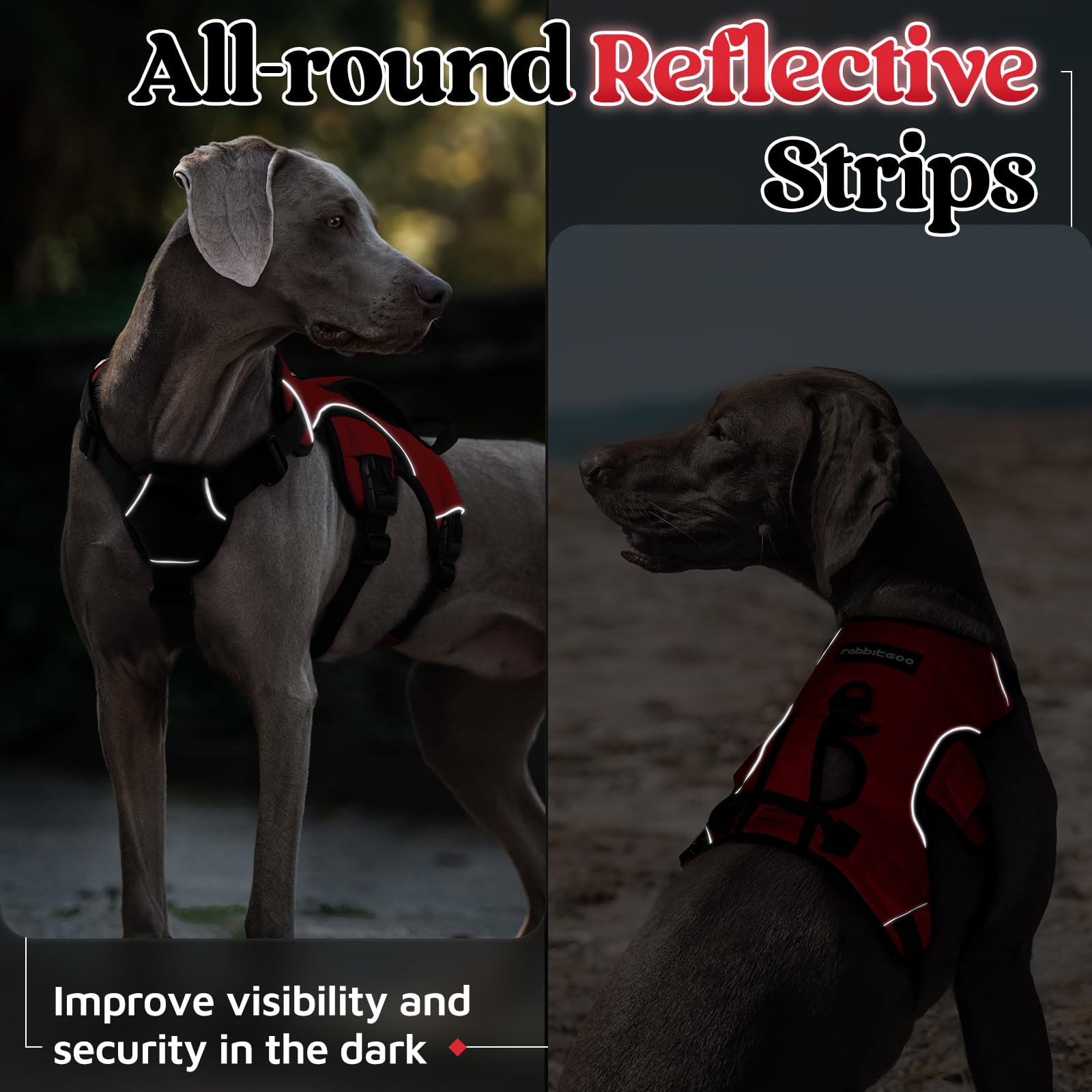 Rabbitgoo sturdy polyester webbing designed for durable daily use