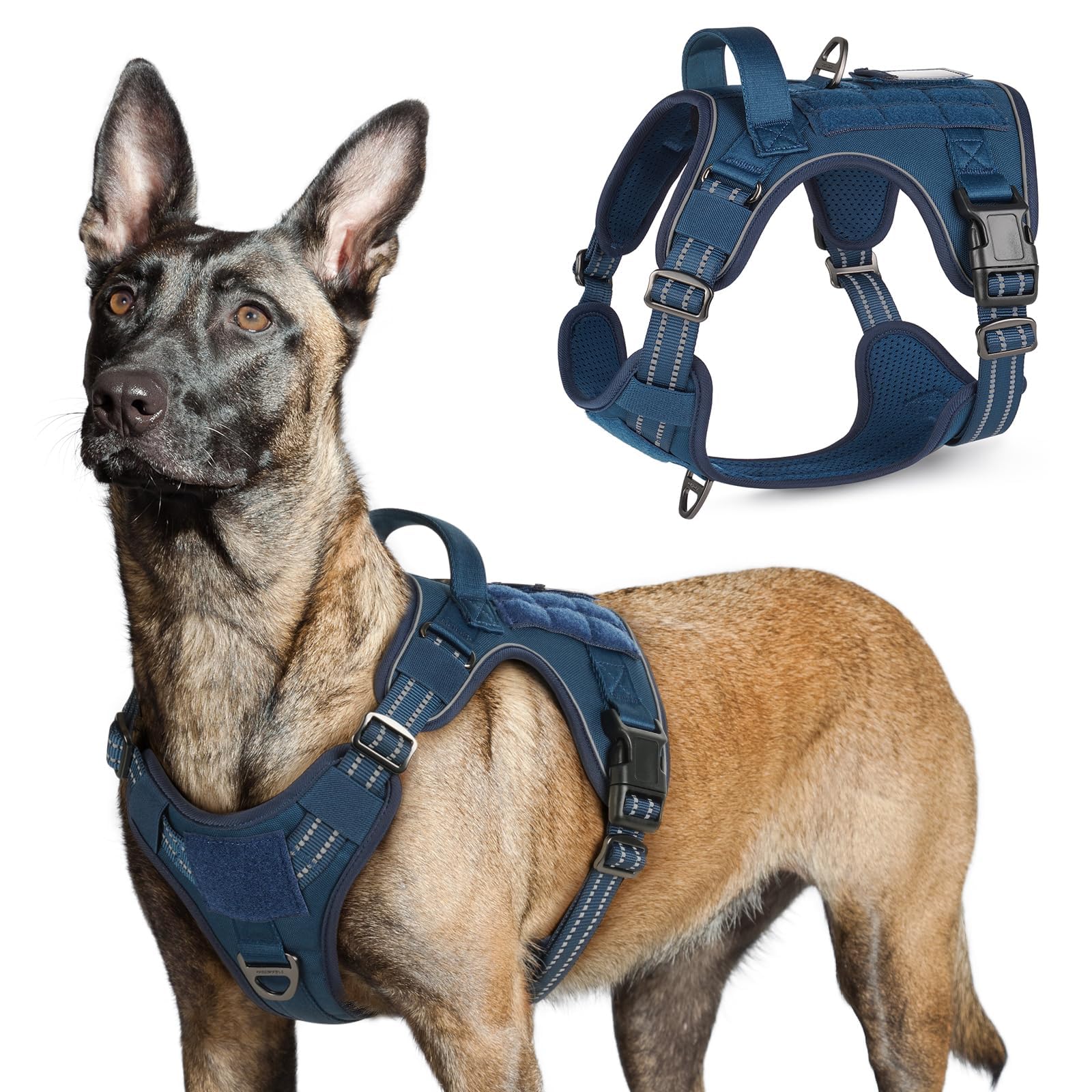 Rabbitgoo Tactical Harness with adjustment points for a secure fit during training.