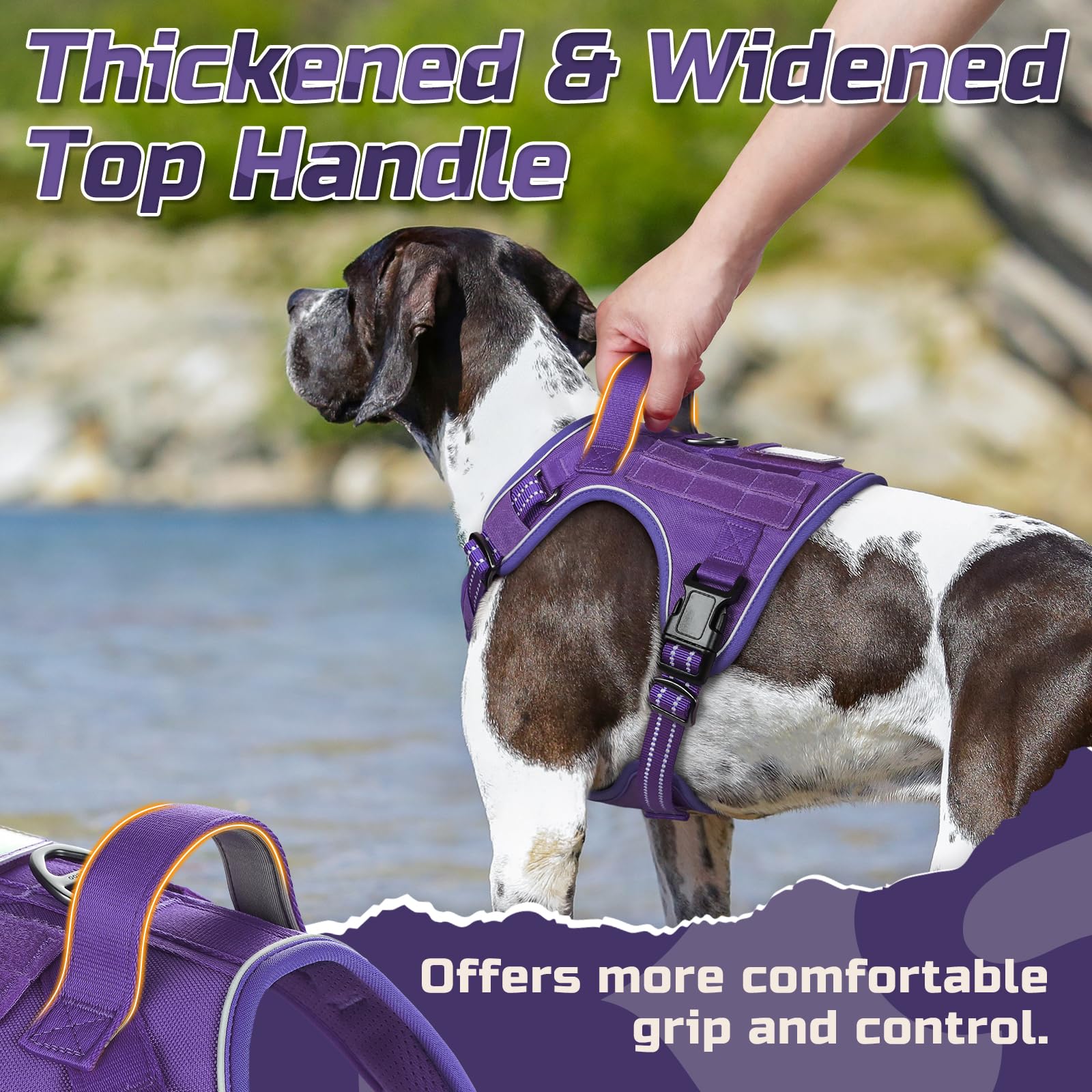 Rabbitgoo harness with adjustable points for a secure fit on large dogs.