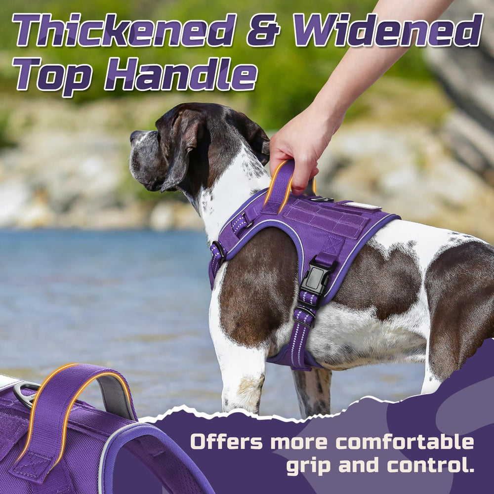 Rabbitgoo harness with adjustable points for a secure fit on large dogs.