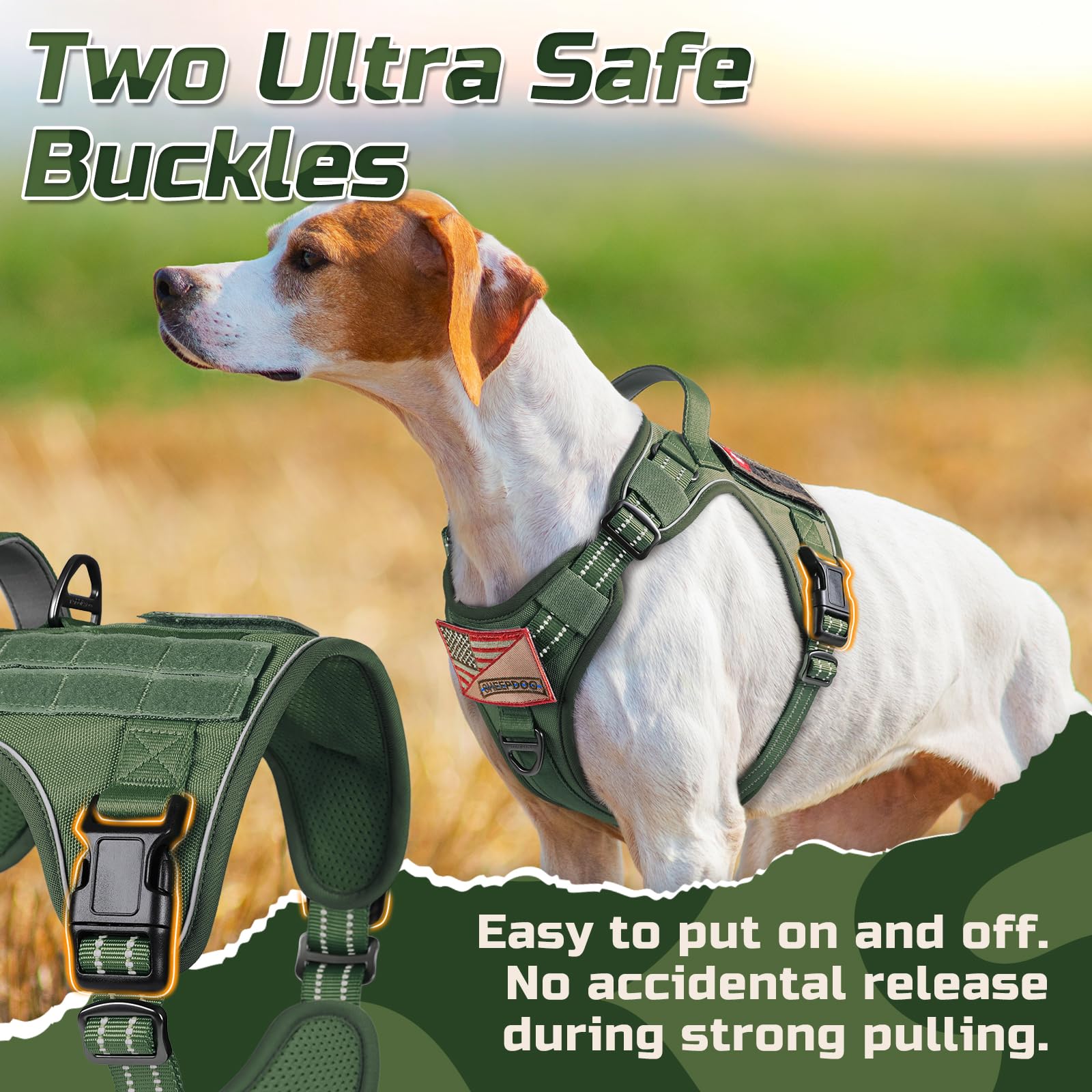 Rabbitgoo harness with adjustable points demonstrates easy fit across sizes and secure control.