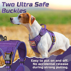 Rabbitgoo tactical harness with back clip for secure walking and leash control.