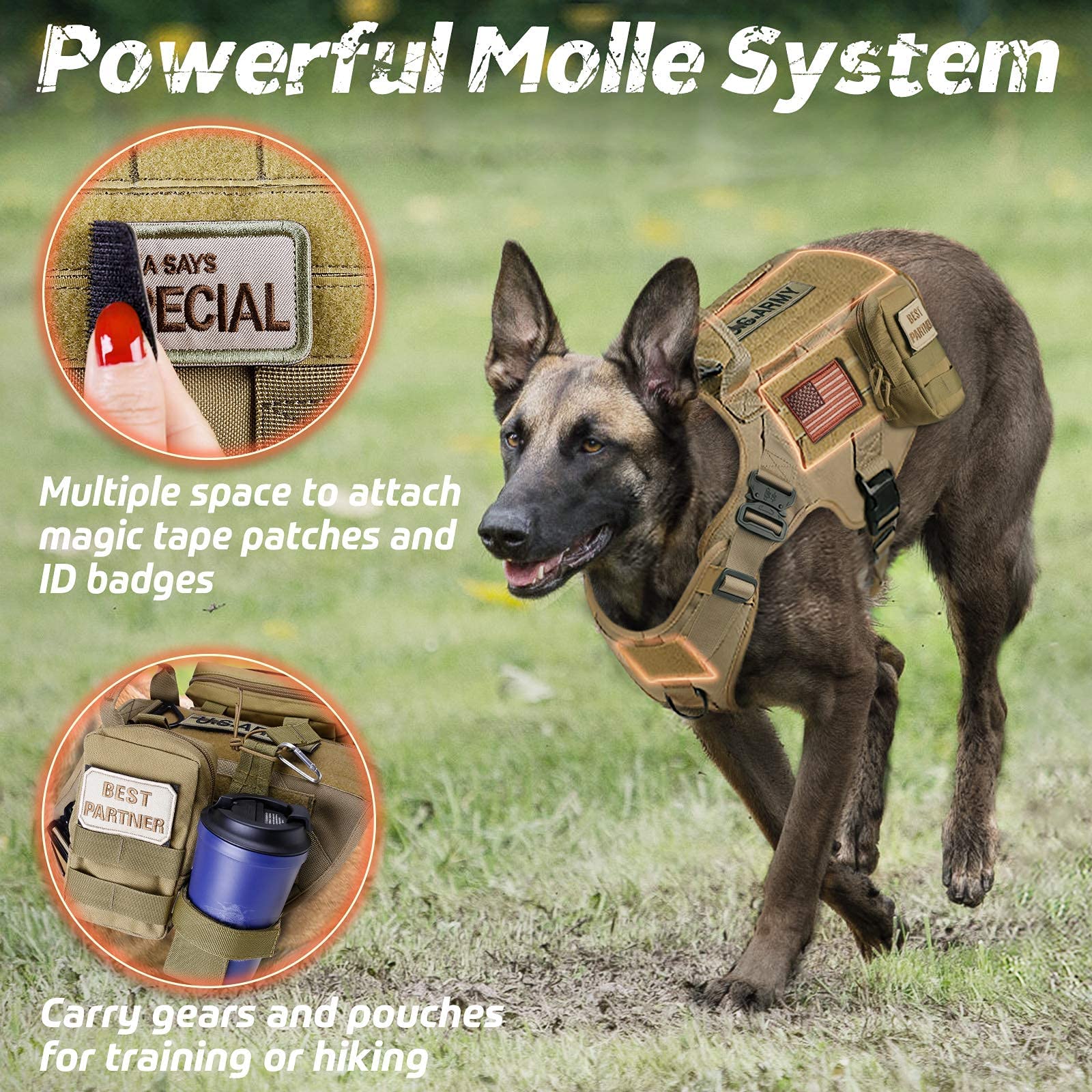 Rabbitgoo breathable air mesh keeps your dog cool during sessions.