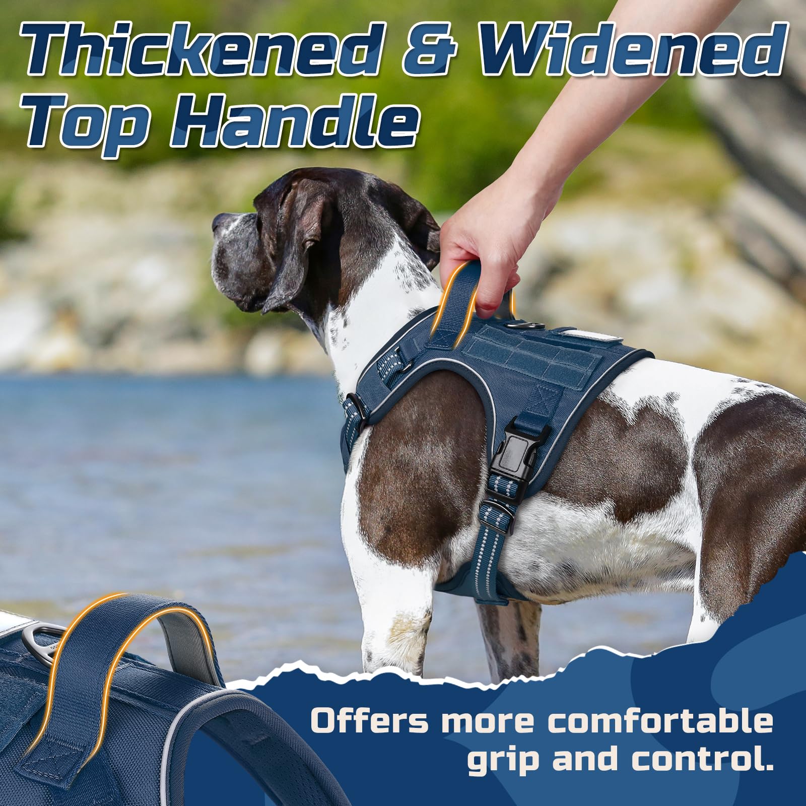 Rabbitgoo double leash attachments support different training or walking setups.