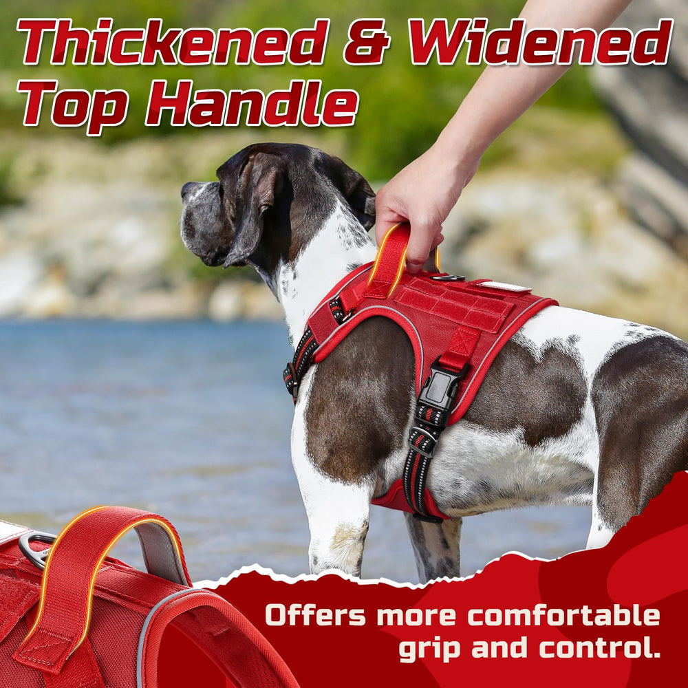 Dual leash attachments offer versatile training and everyday walking.