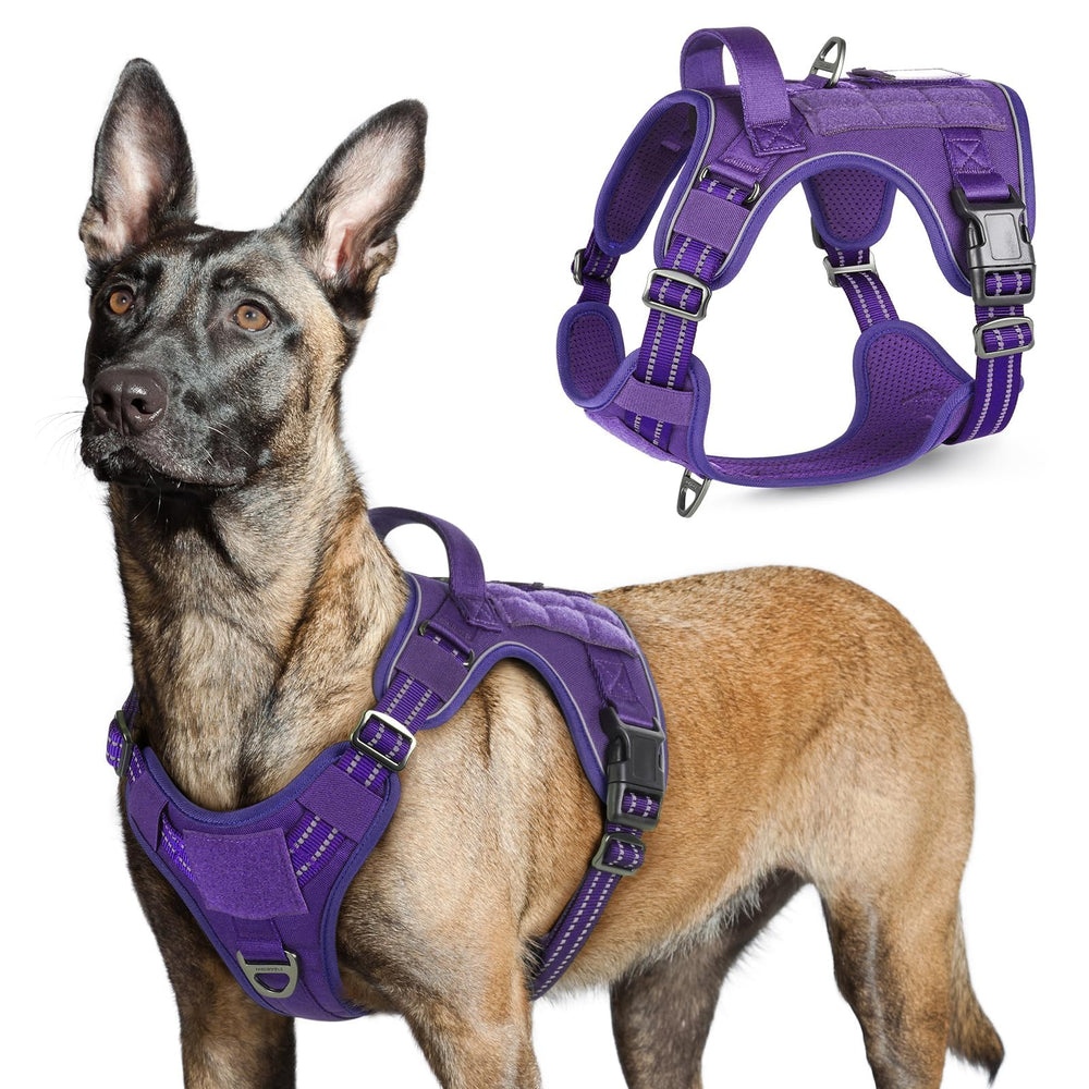 Rabbitgoo tactical harness with front clip for controlled training and no-pull support.