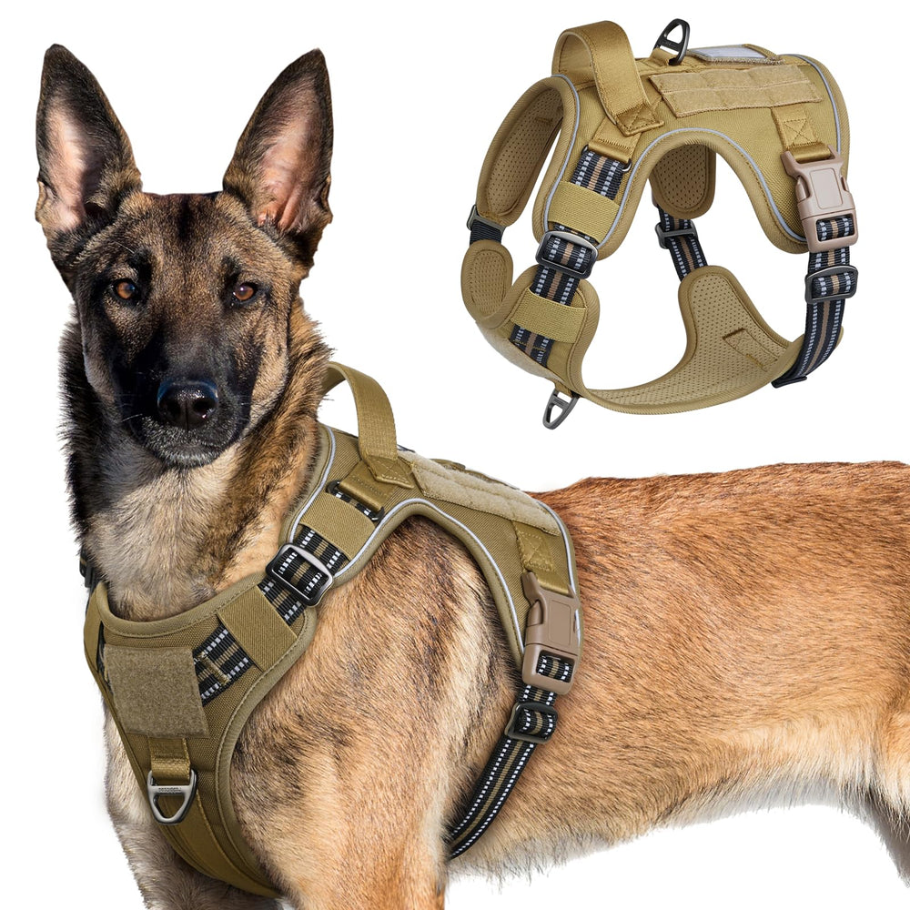 Rabbitgoo tactical dog harness front view demonstrates secure fit for active walking.