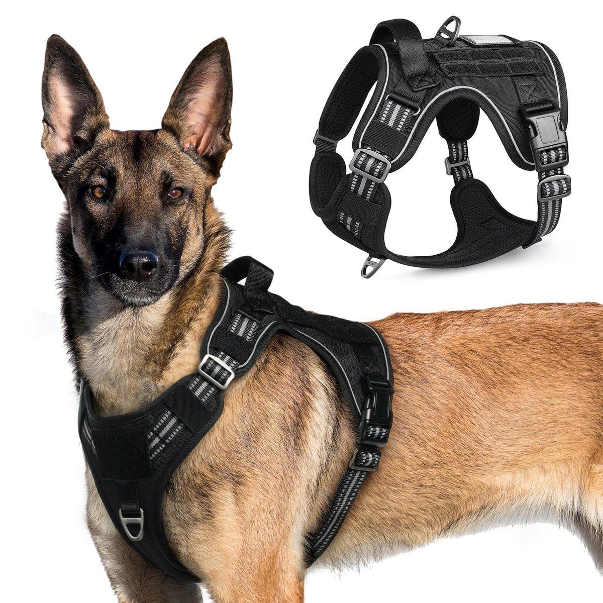 Rabbitgoo tactical dog harness front view, secure fit for large dogs during training or walking
