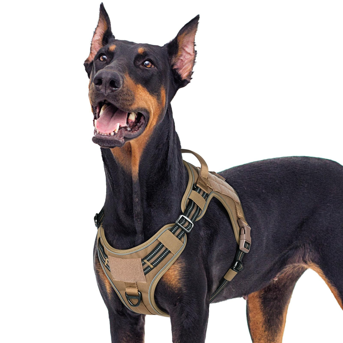 Rabbitgoo tactical dog harness front view showing adjustable fit for large breeds