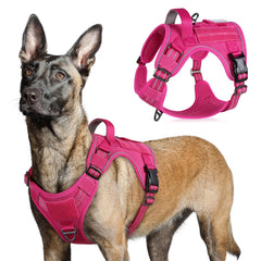Rabbitgoo tactical harness front view with secure buckles and reflective trim for night walks.