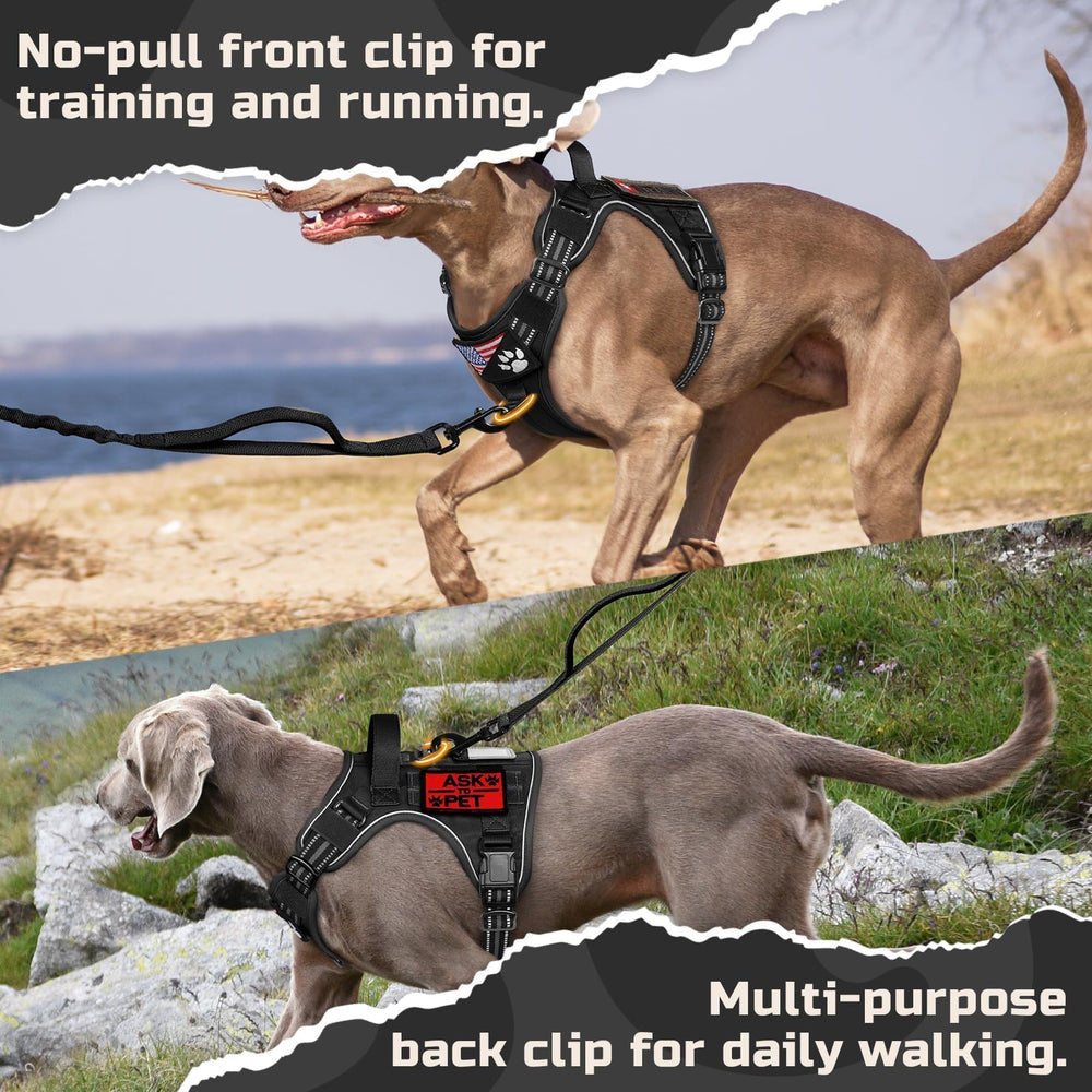 Rabbitgoo harness handle provides extra control when guiding your dog in crowded or vehicle areas.