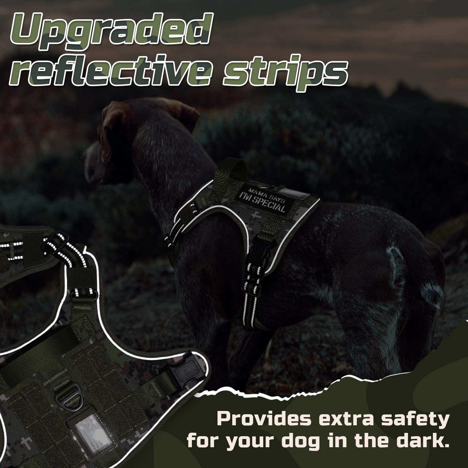 Rabbitgoo ID slot and patch area for quick identification and patches