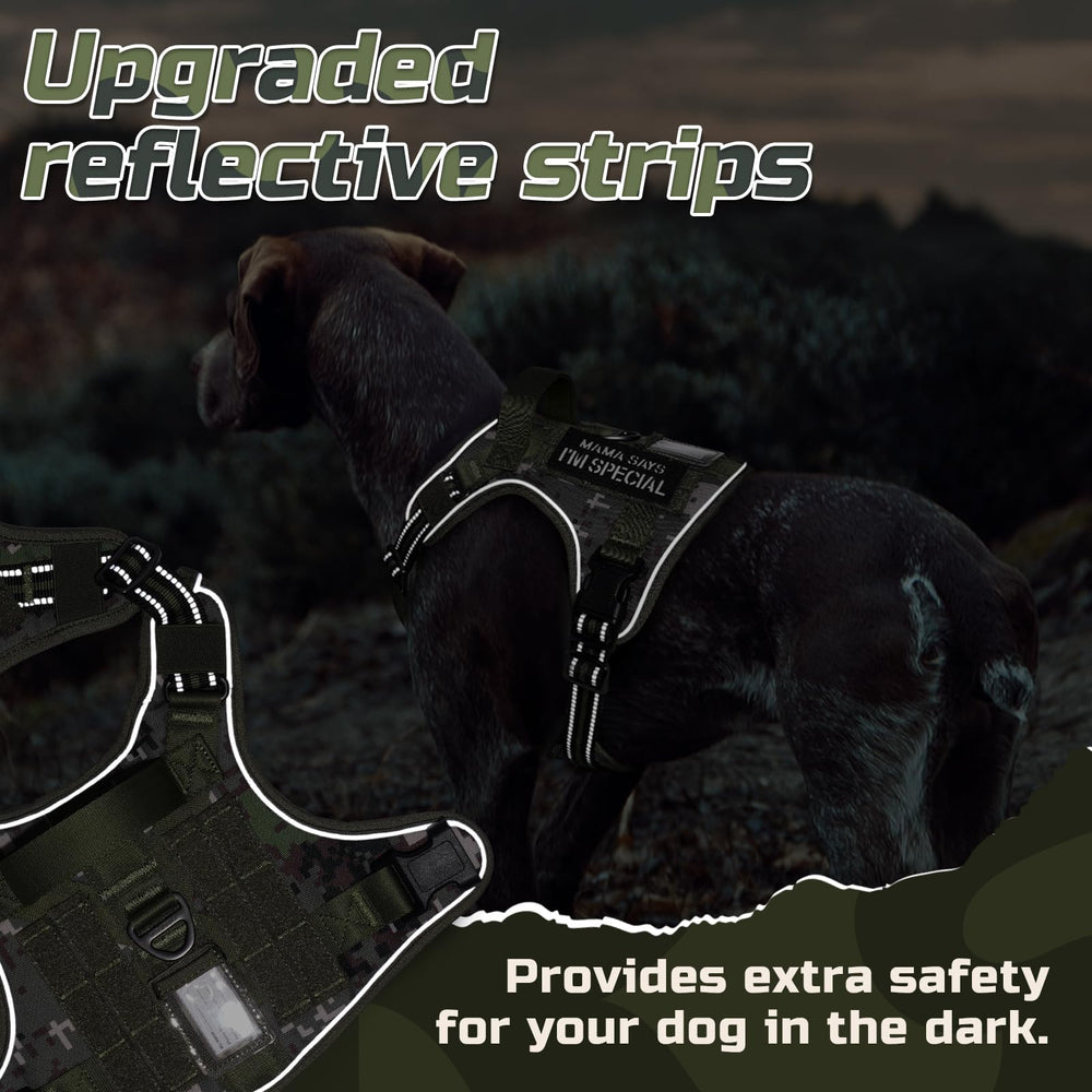 Rabbitgoo ID slot and patch area for quick identification and patches