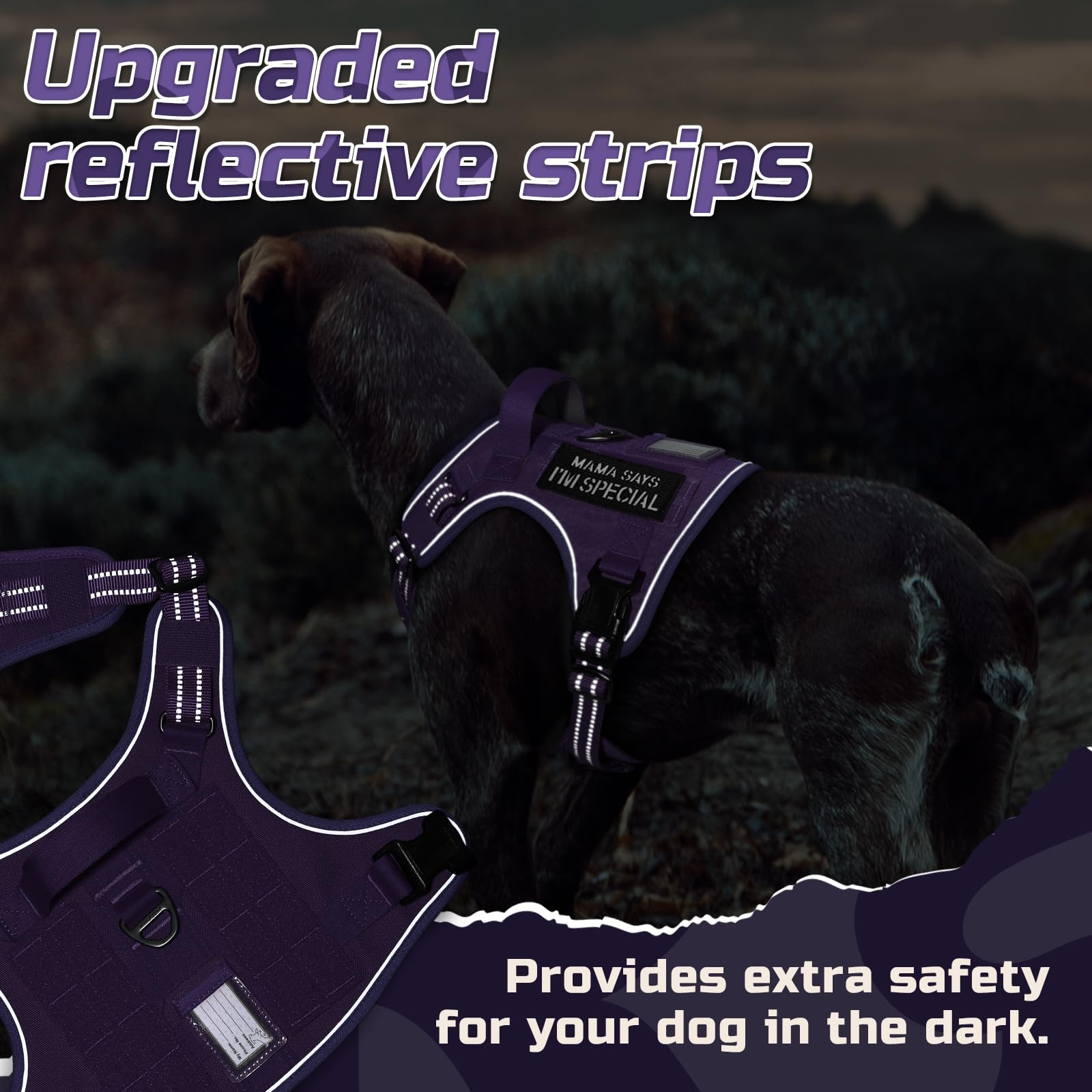 Rabbitgoo harness ID slot for quick identification during outings.