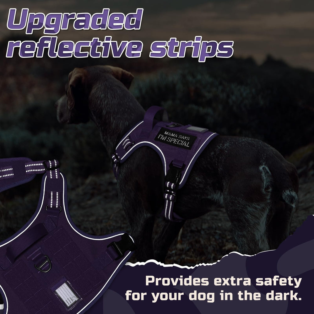 Rabbitgoo harness ID slot for quick identification during outings.