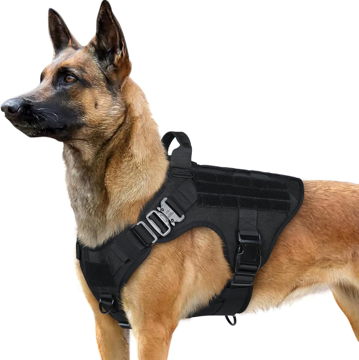 Rabbitgoo tactical dog harness back view for large breeds with secure fit.