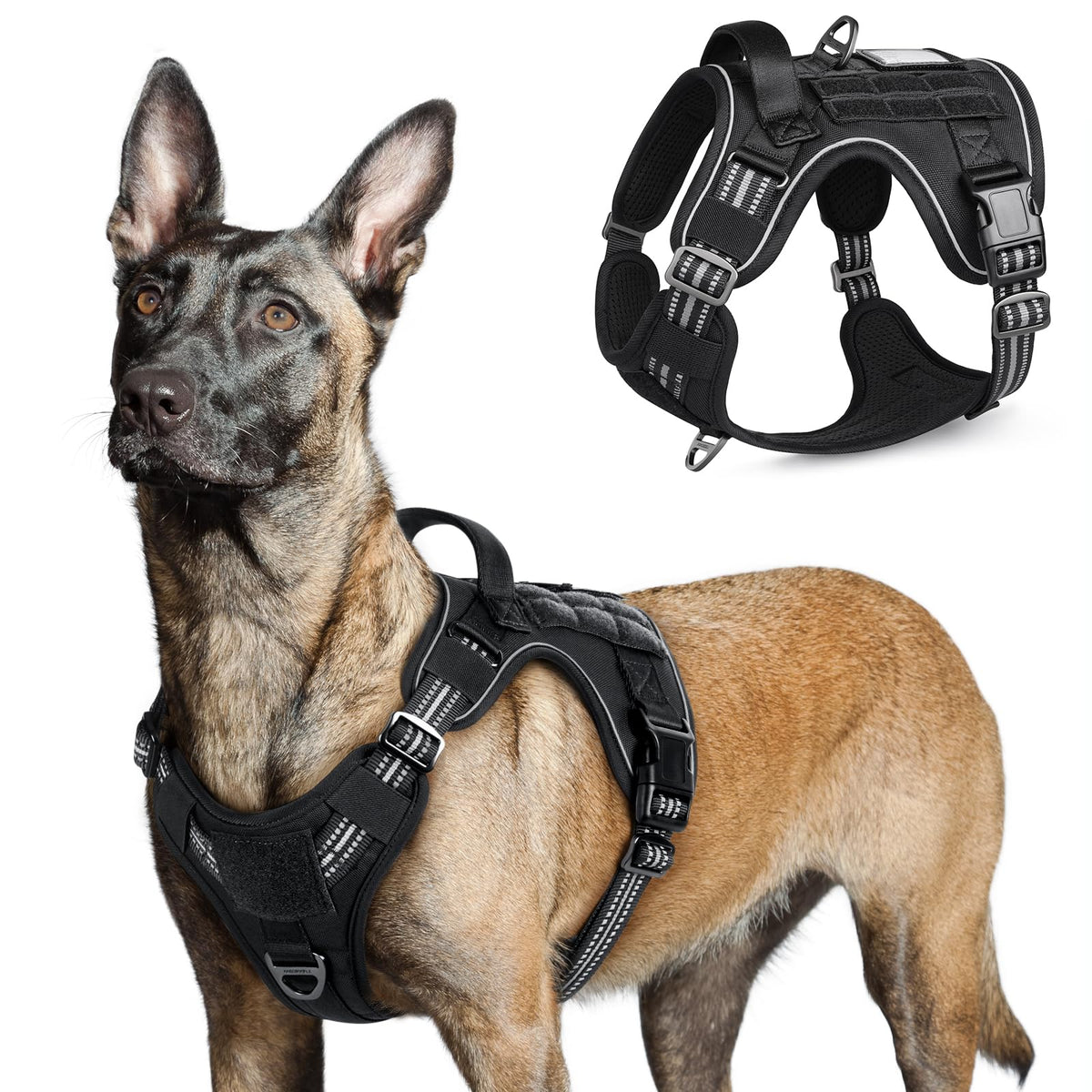 Rabbitgoo tactical dog harness worn on a large dog for secure, comfortable training sessions.