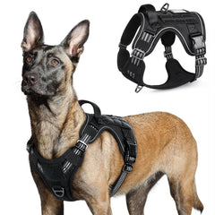 Rabbitgoo tactical dog harness worn on a large dog for secure, comfortable training sessions.