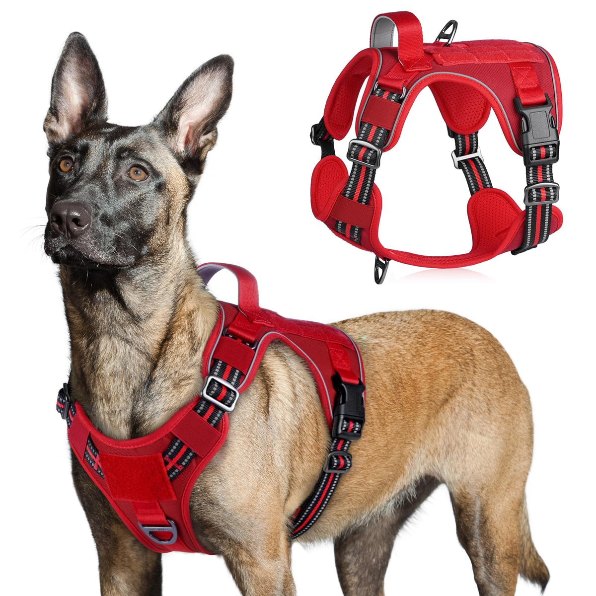 Rabbitgoo Tactical Dog Harness front view showing adjustable fit for large breeds.