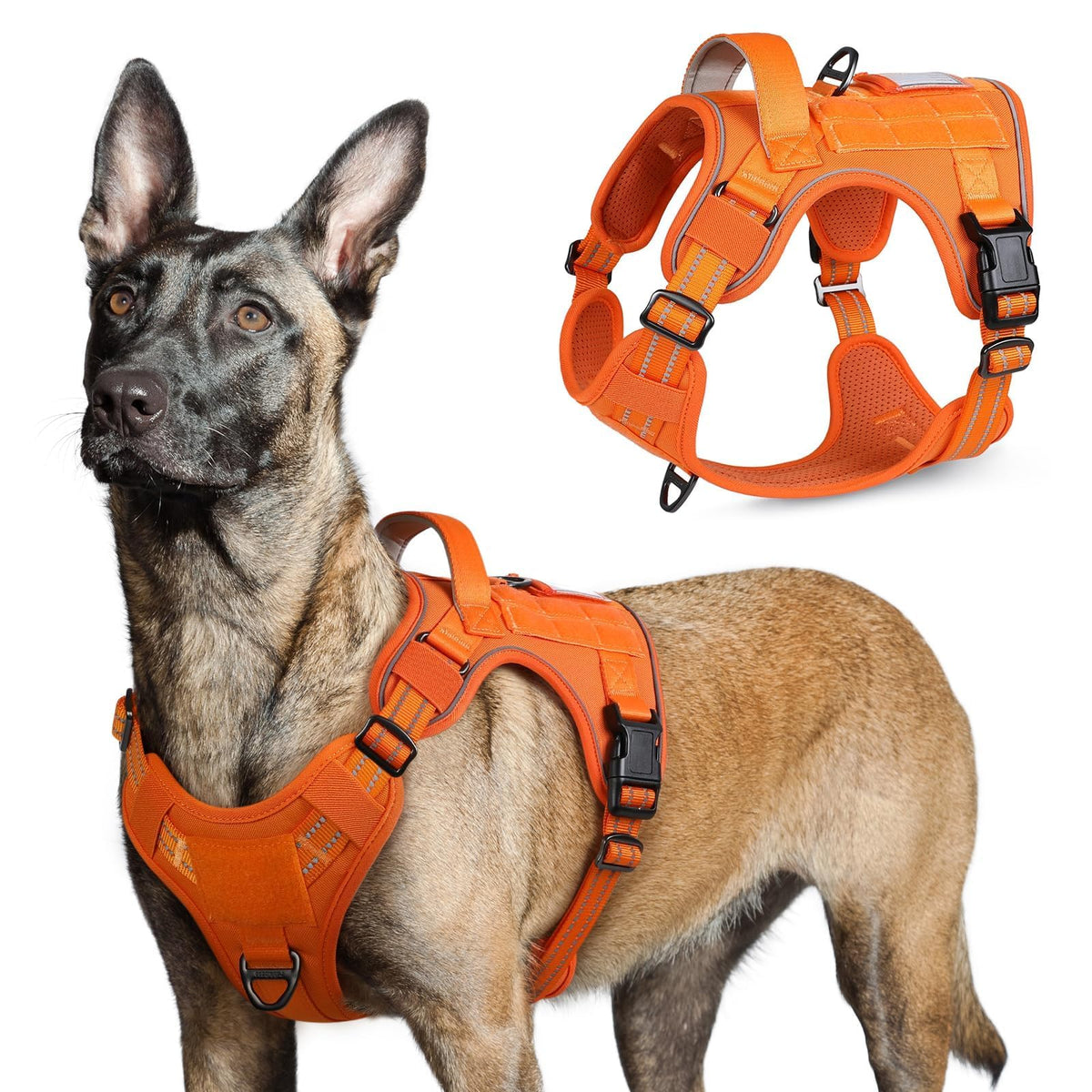 Rabbitgoo tactical harness large orange with handle for secure control during walks
