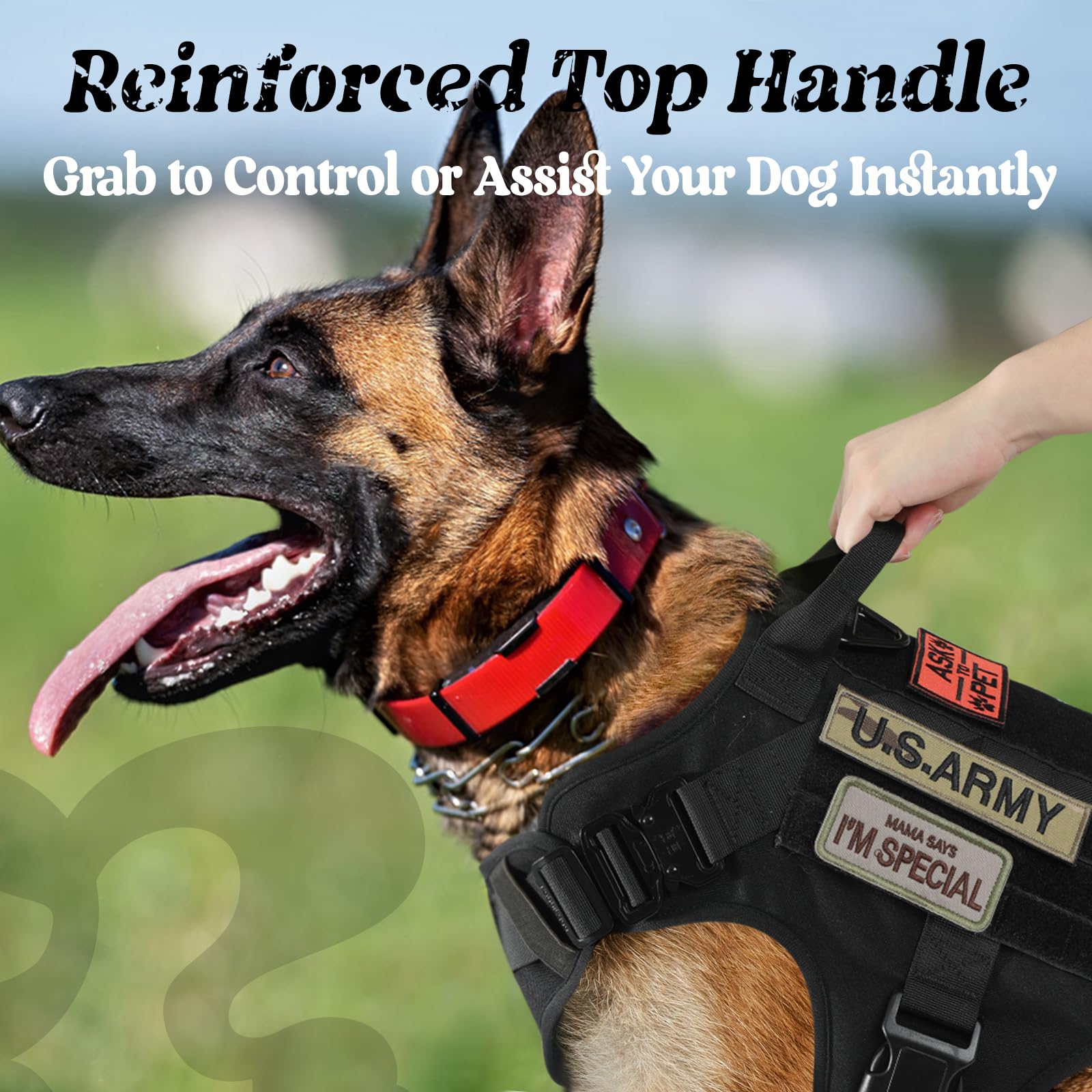Rabbitgoo two leash attachment points for front and back use.