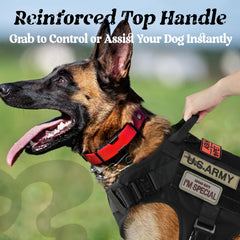 Rabbitgoo two leash attachment points for front and back use.