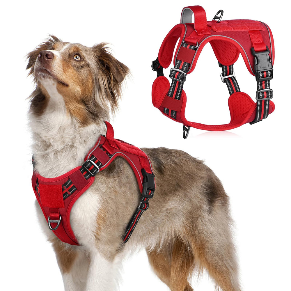 Rabbitgoo tactical dog harness medium chest strap for secure training and walking